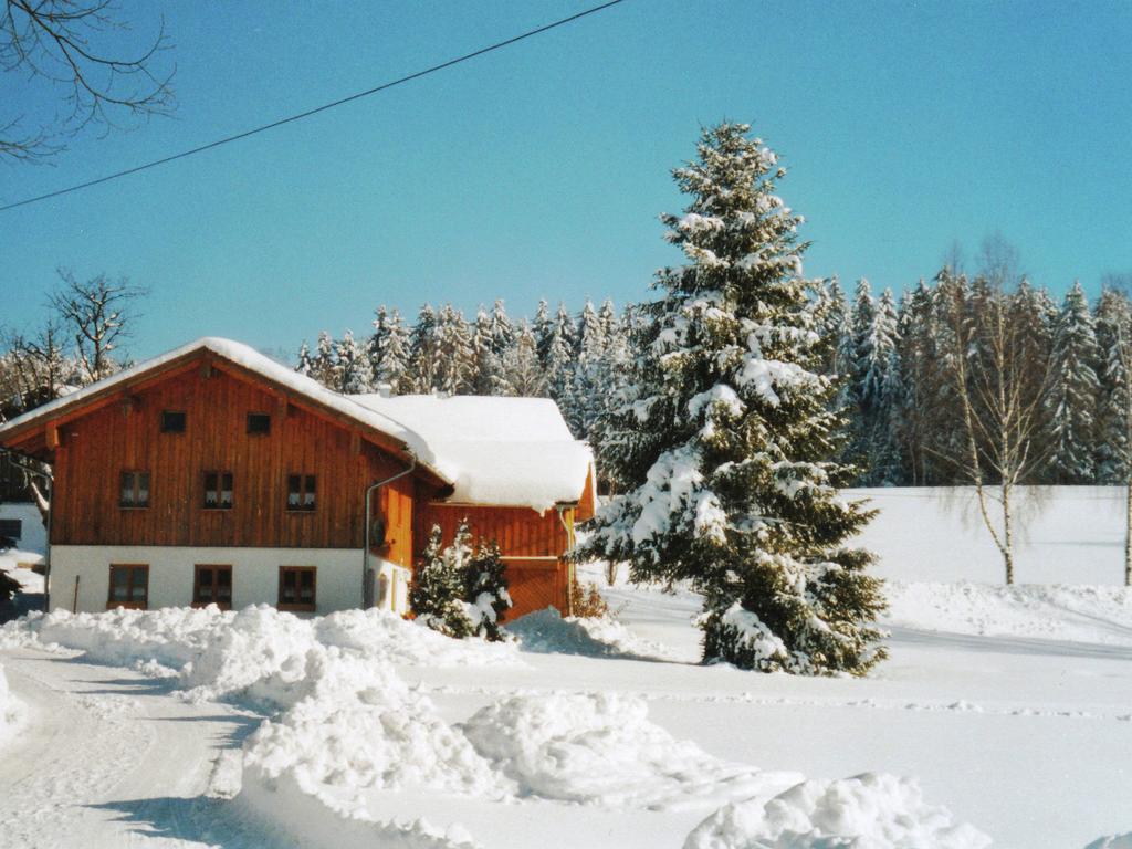Lovely Holiday Home In Viechtach Near The Forest Exterior foto